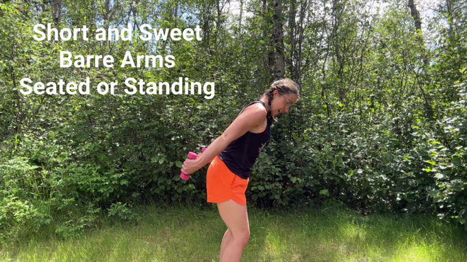 Short and Sweet Barre Arms